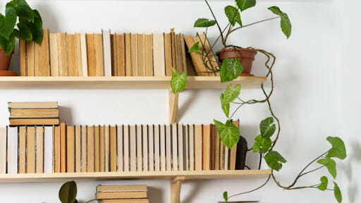 6 Different Styles and Designs of Bookcases: What's Best For You? 12